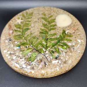 Vintage Abalone Shell a d Sage Resin Lucite Hawaiian Beach Trivet